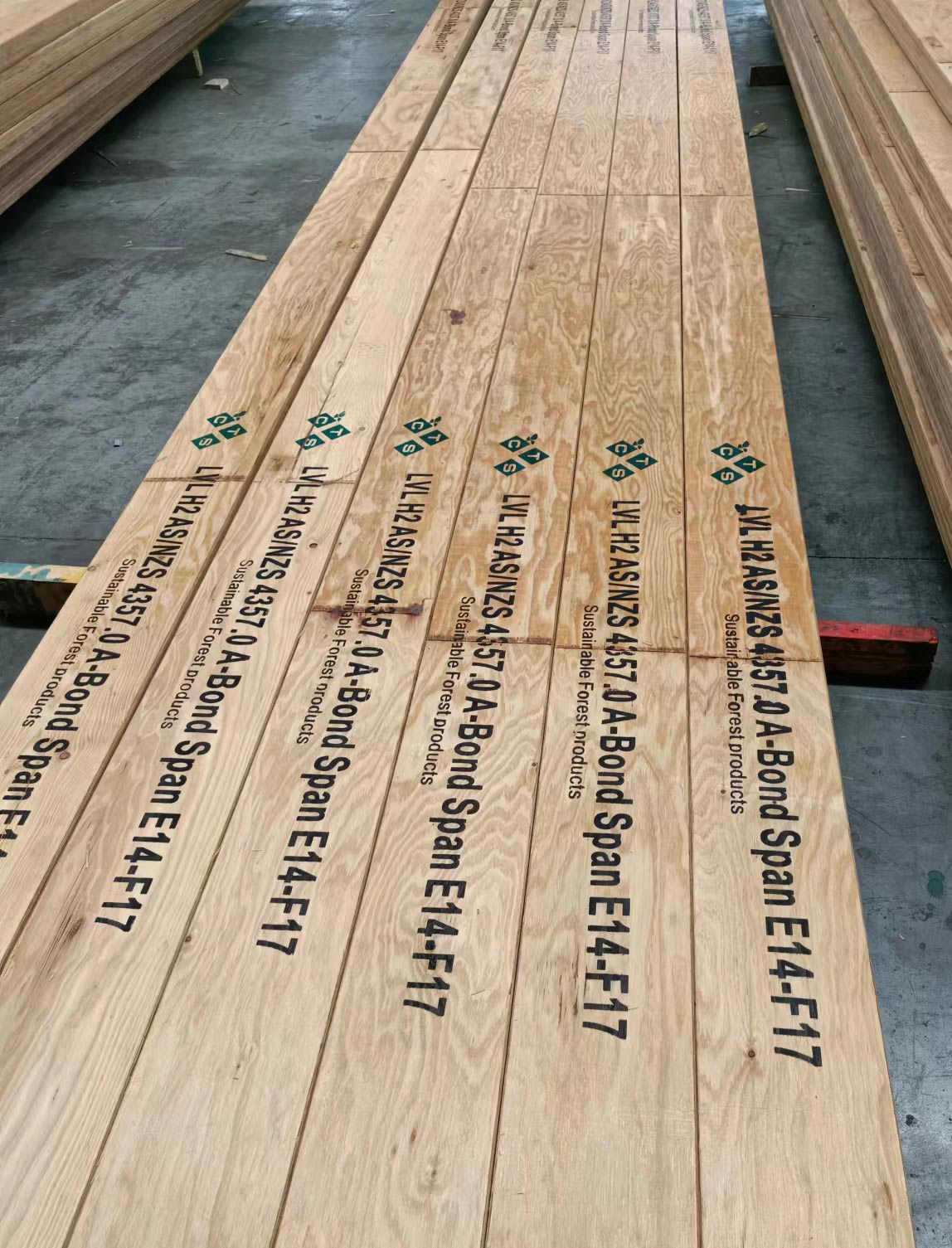 construction timber