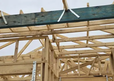 Overhead view of timber roof construction with green treated beams in Queensland.